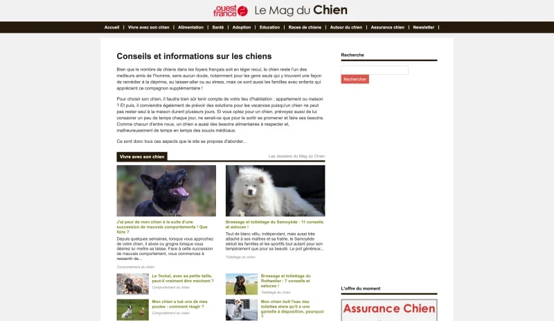 La mag du chien
